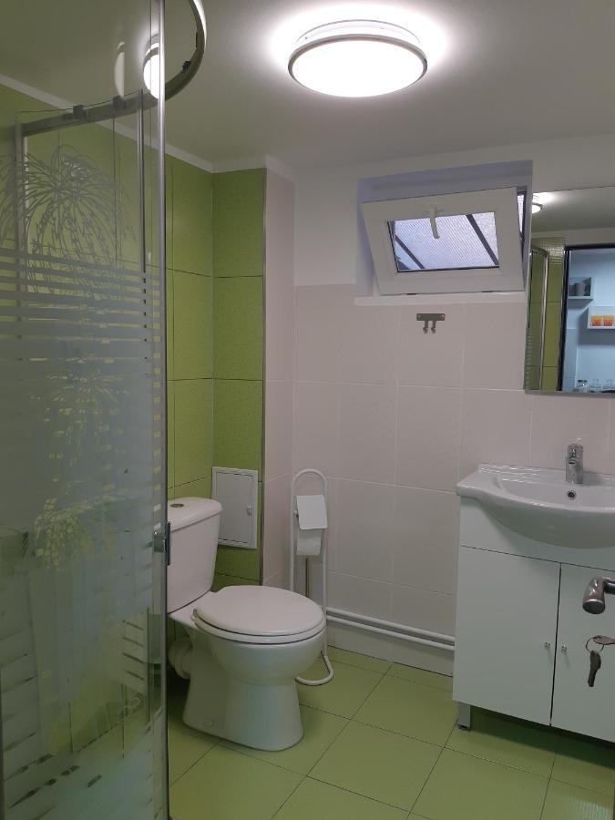 Apartment Magnolia Nearby Center With Parking Sibiu